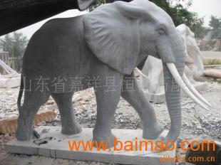 精品大象最新在线,探寻精品大象的神秘世界